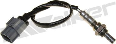 Walker Products 250-24186 - Lambda zonde autospares.lv