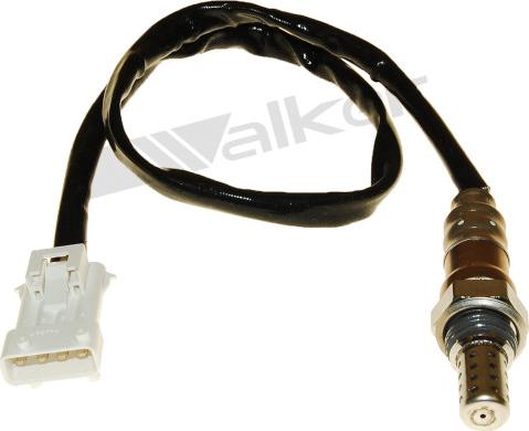 Walker Products 250-24841 - Lambda zonde autospares.lv