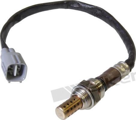 Walker Products 250-24360 - Lambda zonde autospares.lv