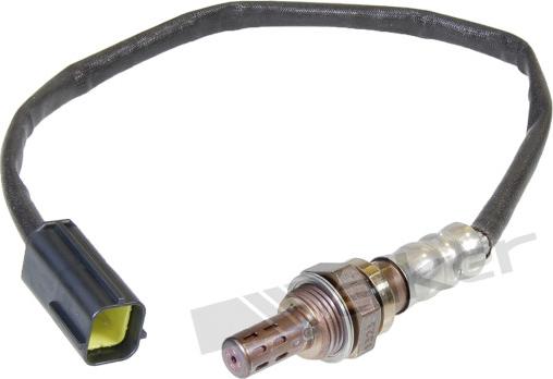 Walker Products 250-24384 - Лямбда-зонд, датчик кислорода www.autospares.lv