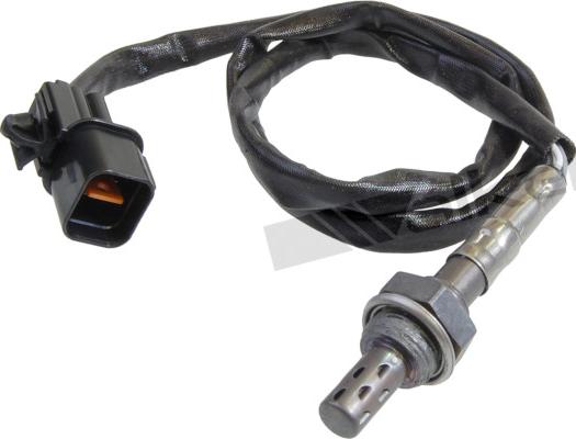 Walker Products 250-24383 - Lambda zonde autospares.lv