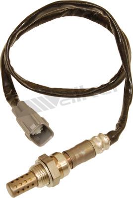 Walker Products 250-24226 - Lambda zonde autospares.lv