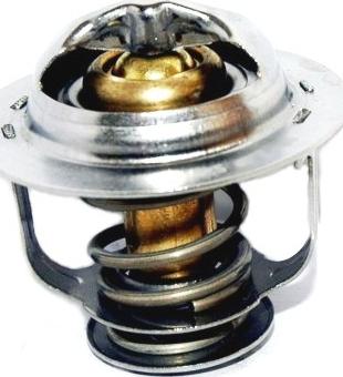 WE PARTS 421150163 - Термостат охлаждающей жидкости / корпус www.autospares.lv