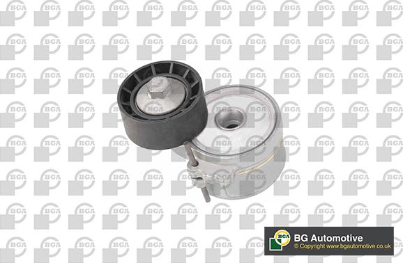 Wilmink Group WG1907419 - Натяжитель, поликлиновый ремень www.autospares.lv