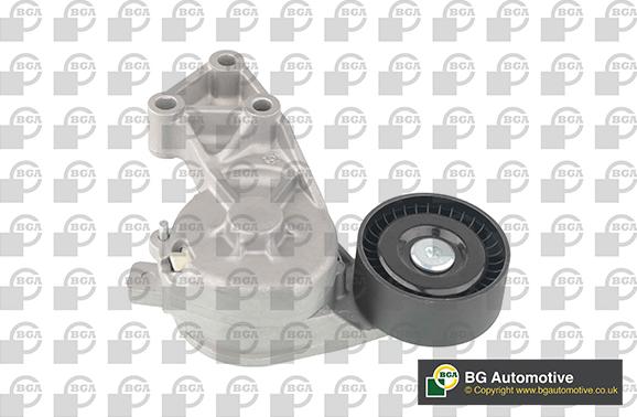 Wilmink Group WG1907397 - Натяжитель, поликлиновый ремень www.autospares.lv