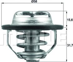 Wilmink Group WG1426520 - Termostats, Dzesēšanas šķidrums autospares.lv