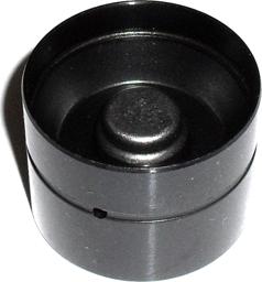 Wilmink Group WG1156412 - Tappet / Rocker www.autospares.lv