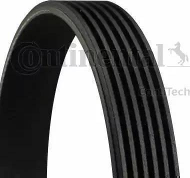 Wilmink Group WG1153090 - V-Ribbed Belt www.autospares.lv