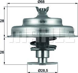 Wilmink Group WG1104811 - Termostats, Dzesēšanas šķidrums www.autospares.lv