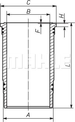 Wilmink Group WG1733975 - Cilindra čaula www.autospares.lv