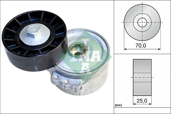 Wilmink Group WG1253500 - Натяжитель, поликлиновый ремень www.autospares.lv