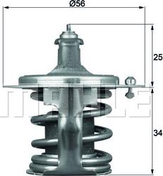 Wilmink Group WG1264935 - Termostats, Dzesēšanas šķidrums autospares.lv