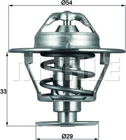 Wilmink Group WG1264931 - Termostats, Dzesēšanas šķidrums autospares.lv