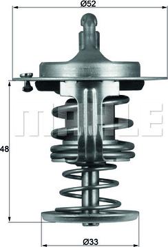 Wilmink Group WG1264933 - Termostats, Dzesēšanas šķidrums autospares.lv