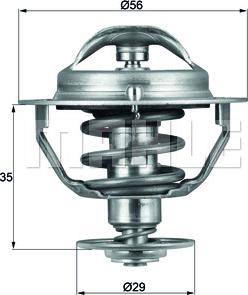 Wilmink Group WG1264895 - Termostats, Dzesēšanas šķidrums www.autospares.lv