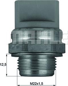 Wilmink Group WG1265981 - Termoslēdzis, Radiatora ventilators www.autospares.lv