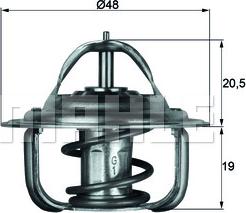 Wilmink Group WG1261785 - Termostats, Dzesēšanas šķidrums autospares.lv