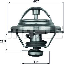 Wilmink Group WG1262719 - Termostats, Dzesēšanas šķidrums www.autospares.lv