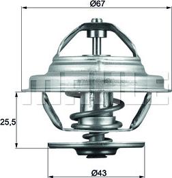 Wilmink Group WG1262713 - Termostats, Dzesēšanas šķidrums www.autospares.lv