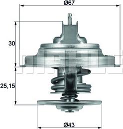 Wilmink Group WG1262739 - Termostats, Dzesēšanas šķidrums www.autospares.lv