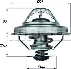 Wilmink Group WG1262730 - Termostats, Dzesēšanas šķidrums autospares.lv