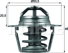 Wilmink Group WG1218013 - Termostats, Dzesēšanas šķidrums autospares.lv