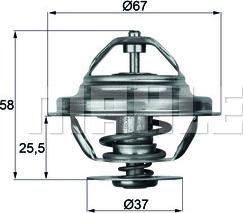 Wilmink Group WG1217906 - Termostats, Dzesēšanas šķidrums autospares.lv