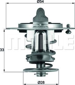 Wilmink Group WG1217989 - Termostats, Dzesēšanas šķidrums autospares.lv