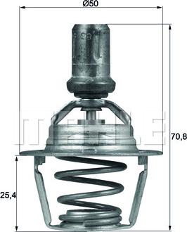 Wilmink Group WG1217980 - Termostats, Dzesēšanas šķidrums autospares.lv