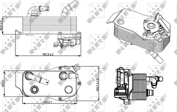 Wilmink Group WG1720020 - Eļļas radiators, Automātiskā pārnesumkārba www.autospares.lv