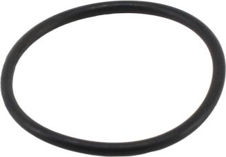 Wilmink Group WG2193970 - Gasket, thermostat www.autospares.lv