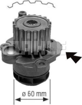 Wilmink Group WG2181957 - Ūdenssūknis autospares.lv