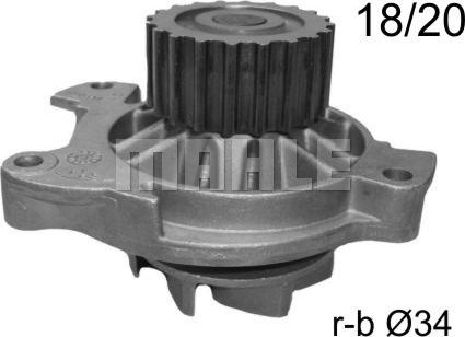 Wilmink Group WG2181430 - Ūdenssūknis autospares.lv