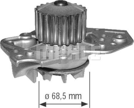 Wilmink Group WG2181542 - Ūdenssūknis www.autospares.lv