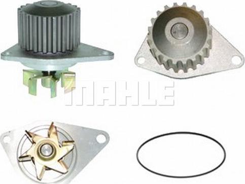 Wilmink Group WG2181534 - Water Pump www.autospares.lv