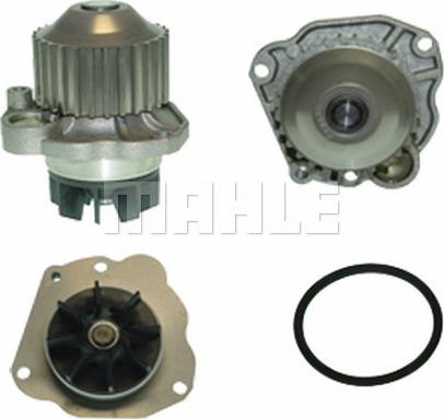 Wilmink Group WG2181523 - Water Pump www.autospares.lv