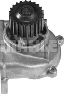 Wilmink Group WG2181626 - Water Pump www.autospares.lv