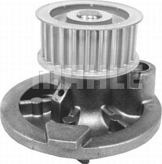 Wilmink Group WG2181800 - Water Pump www.autospares.lv