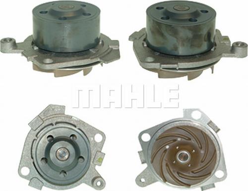 Wilmink Group WG2181349 - Ūdenssūknis autospares.lv