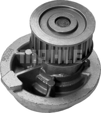 Wilmink Group WG2181310 - Water Pump www.autospares.lv