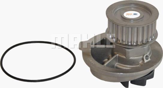 Wilmink Group WG2181310 - Water Pump www.autospares.lv