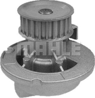 Wilmink Group WG2181388 - Water Pump www.autospares.lv