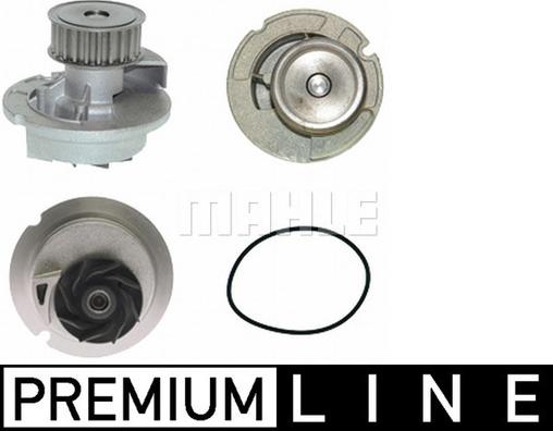 Wilmink Group WG2181387 - Ūdenssūknis autospares.lv