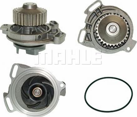 Wilmink Group WG2181298 - Ūdenssūknis autospares.lv