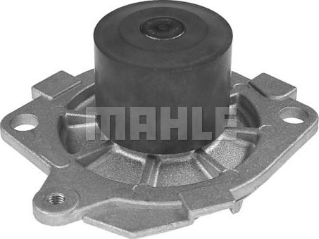 Wilmink Group WG2181785 - Water Pump www.autospares.lv