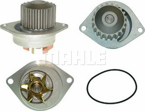 Wilmink Group WG2182058 - Water Pump www.autospares.lv