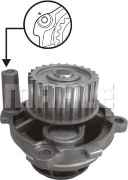 Wilmink Group WG2182063 - Водяной насос www.autospares.lv