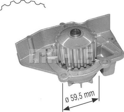 Wilmink Group WG2182086 - Ūdenssūknis autospares.lv