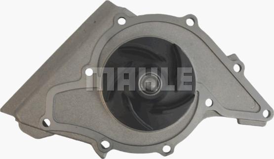 Wilmink Group WG2182087 - Water Pump www.autospares.lv