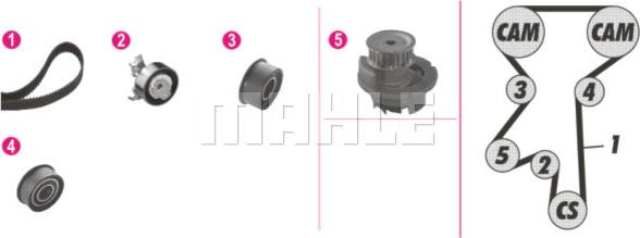 Wilmink Group WG2182196 - Ūdenssūknis + Zobsiksnas komplekts www.autospares.lv